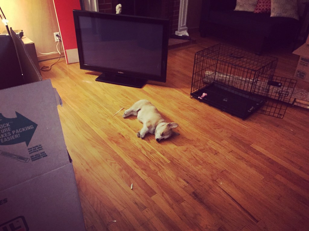 Exhausted from the move