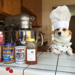 Mochi’s Kitchen: Peanut Butter Bones