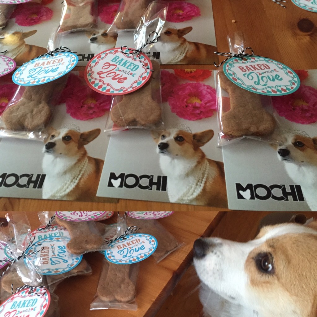 Momma and I putting together our own corgi swag for corgicon
