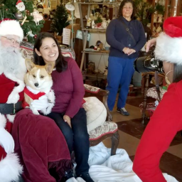 Am I Uni-Corgilicious? Hear my story :)